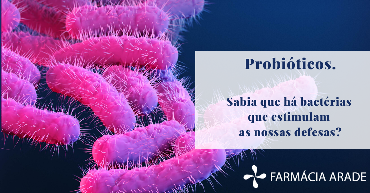 Bacterias boas