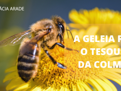 GELEIA REAL
