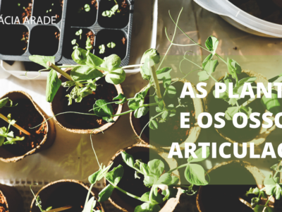 A utilização das plantas na saude dos ossos