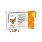 Bioactivo Vitamina D Forte Caps X80-Farmacia-Arade