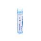 Chamomilla Vulgar Granulo 9ch Boiron-Farmacia-Arade