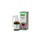Echinacea Spray 30 Ml spray oral