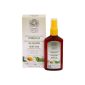 Intea Camomila Locao Spray Ocult 100ml-Farmacia-Arade