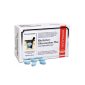 BioActivo Glucosamina Plus Comp X160-Farmacia-Arade