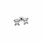 Inverness Brinco Panda 6mm INDO621-1-Farmacia-Arade
