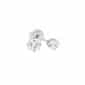 Inverness Brinco Sens Zirc 3Mm Ins112-Farmacia-Arade